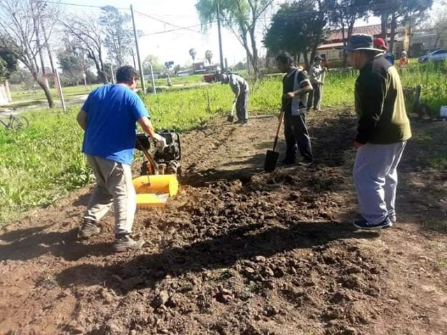 properties
